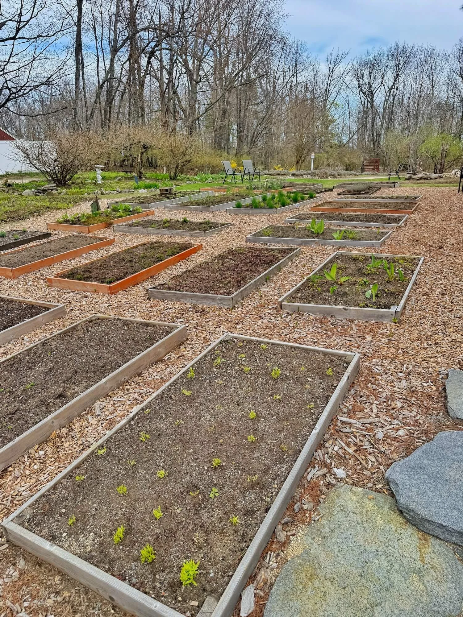 herb gardens at pickity place