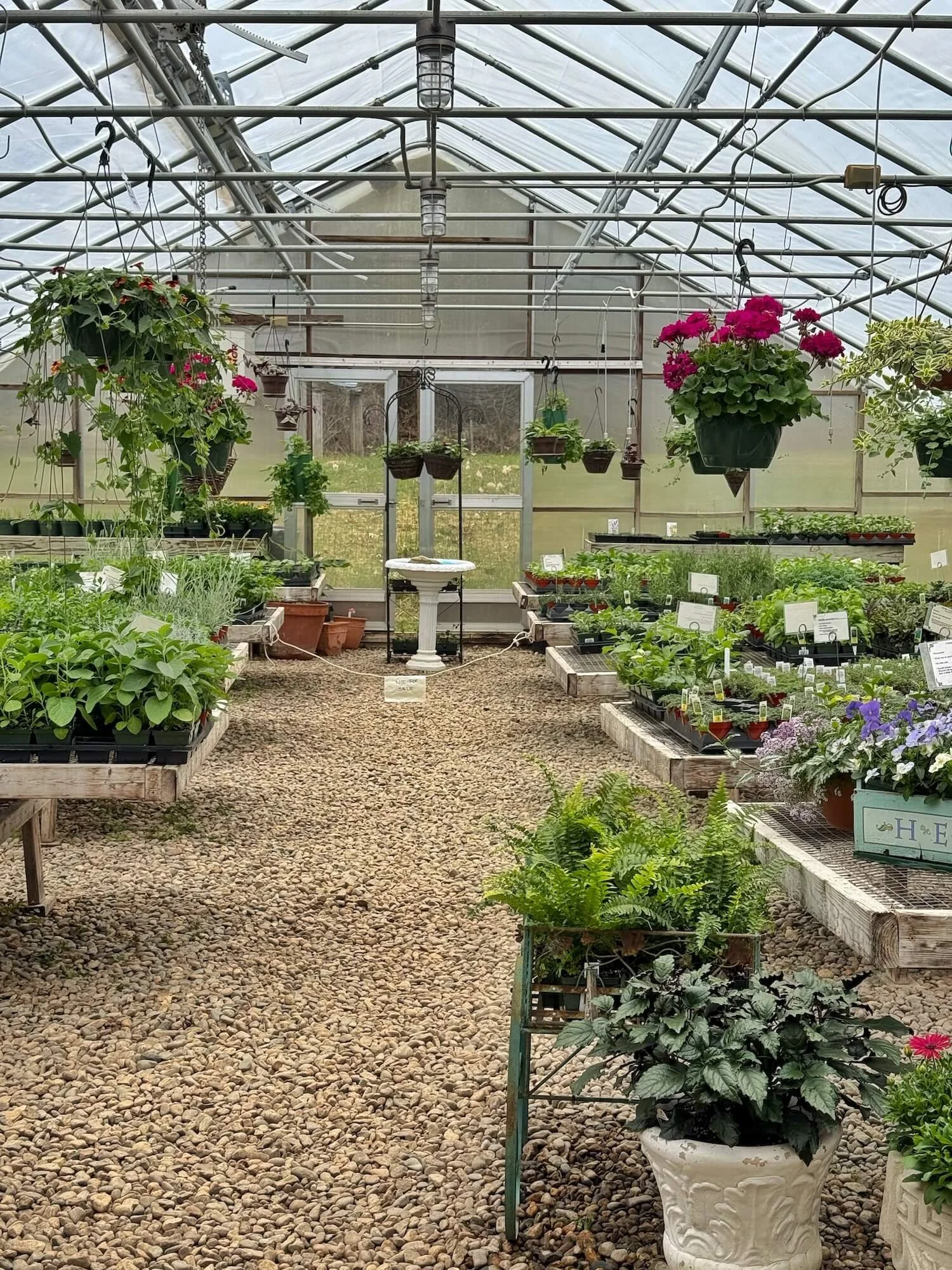 pickity place greenhouse