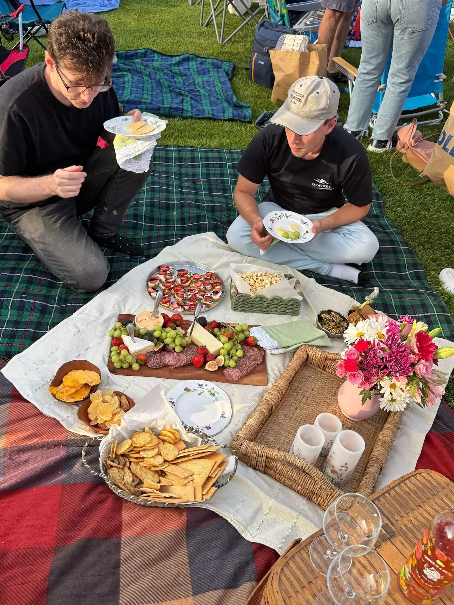 picnic noshing