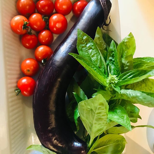L&rsquo;Shana Tova! From Muddy to you! Here&rsquo;s today&rsquo;s bounty from back garden!
