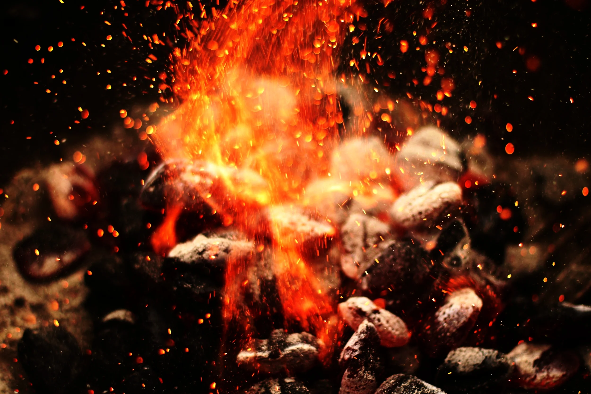 Lumière 4 : Le Feu de Joie
