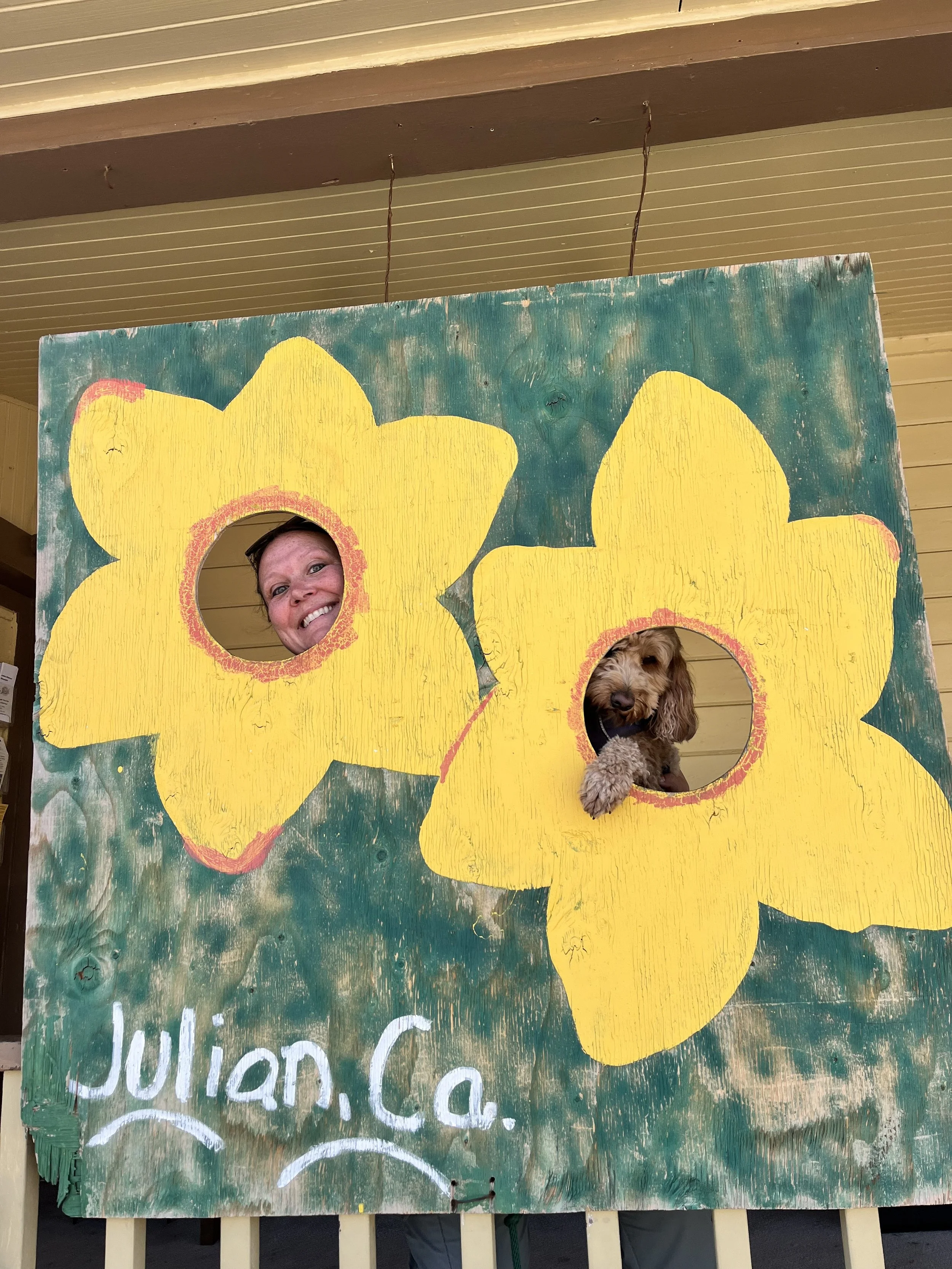 Julian California cardboard cutout