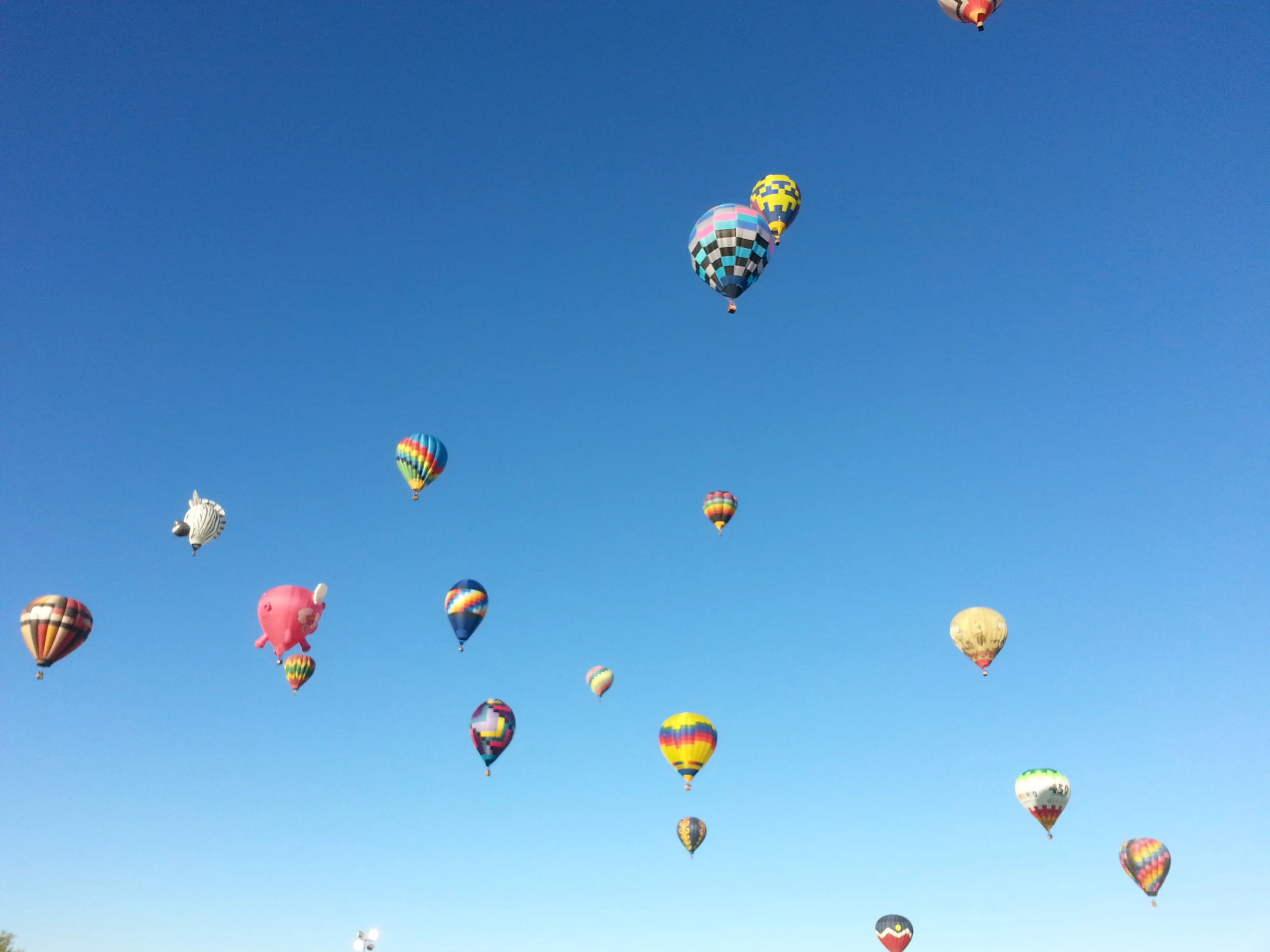 Daytime Balloons.jpg