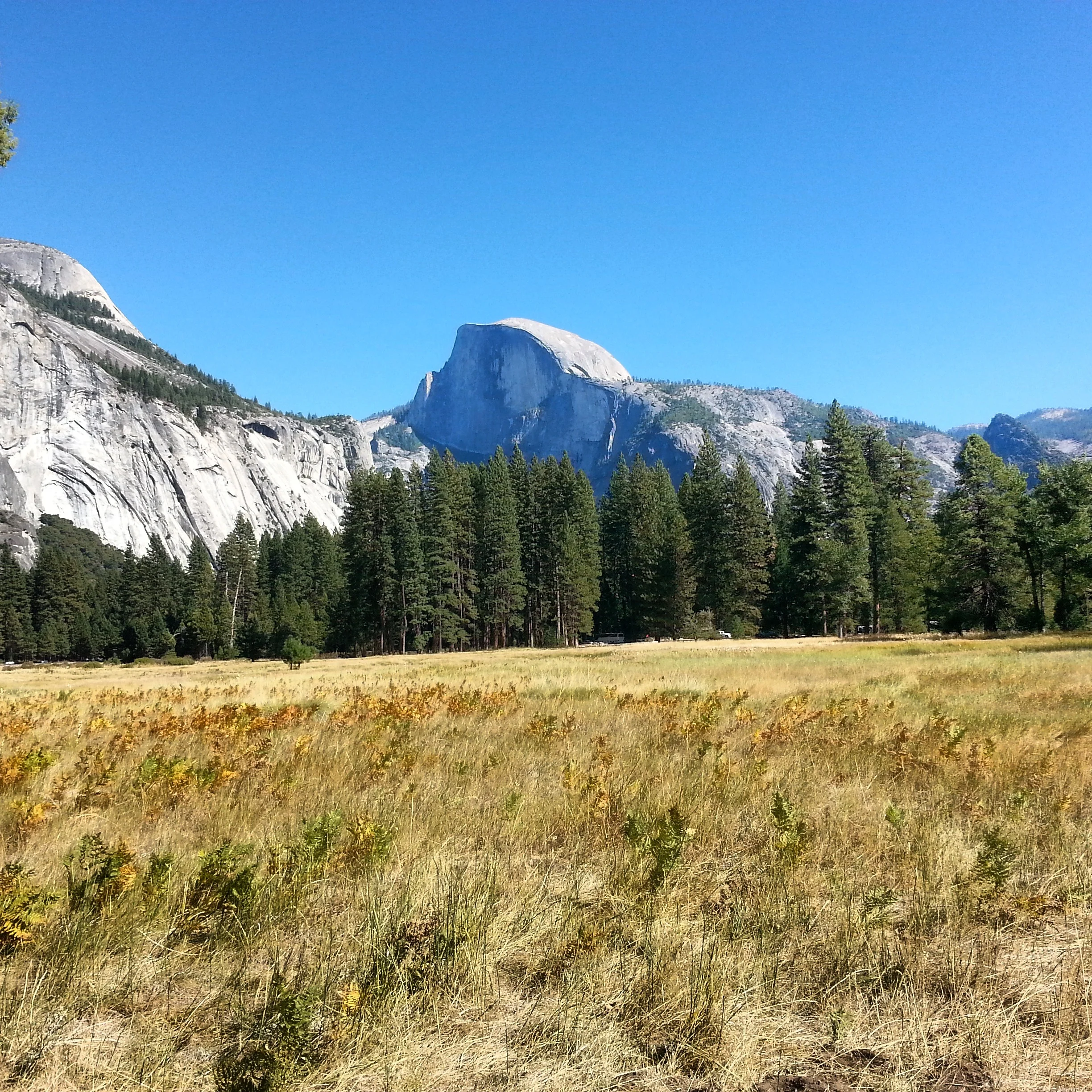 Half Dome from Yosemite Valley.