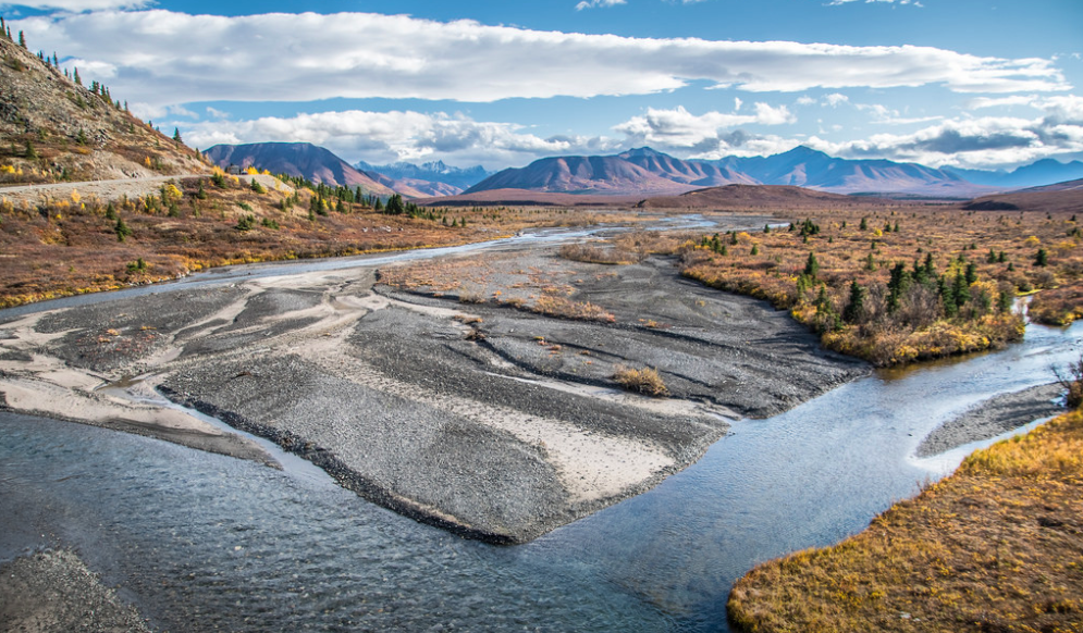 Savage River: Denali National Park