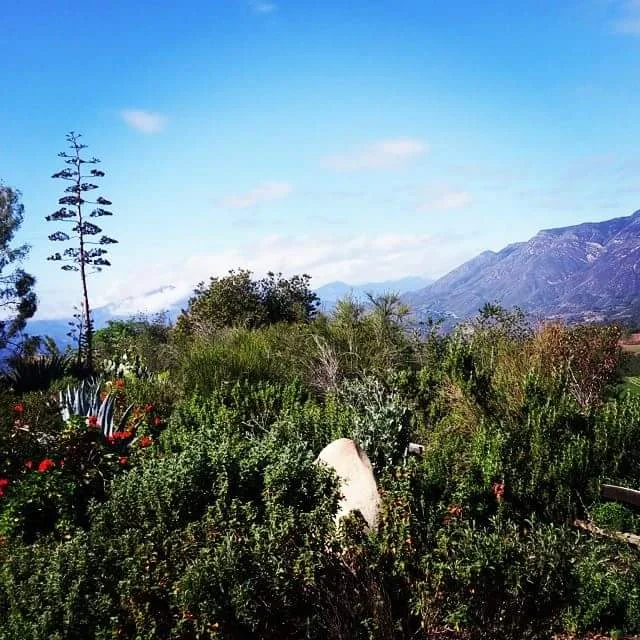 Ojai.jpg