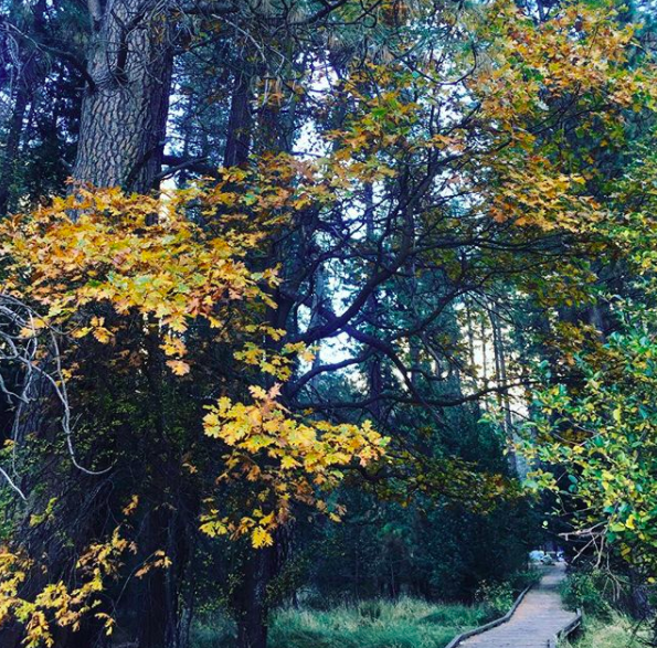 California Trails!