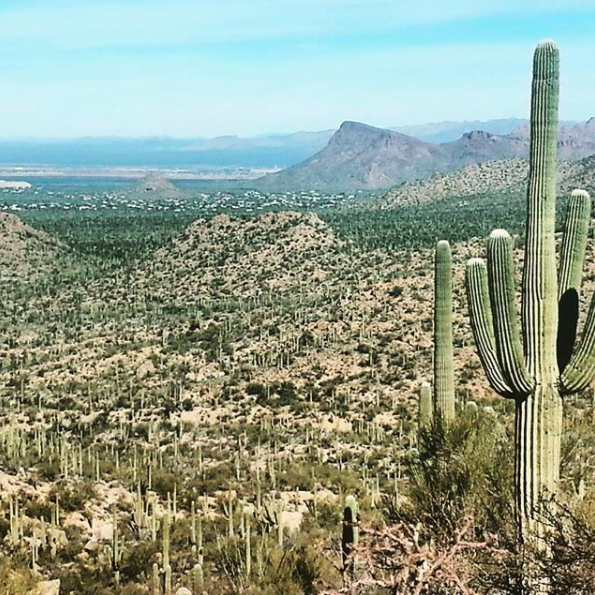 3. The John Norris Trail in Saguaro National Park is a cacti lover, and hiking lover's, dream! I trekked about 10 miles on this trail and could have done more but wanted to see other parts of the park. Miles of trails in this hot region is perfect for winter hiking. It's a small but incredible park!
