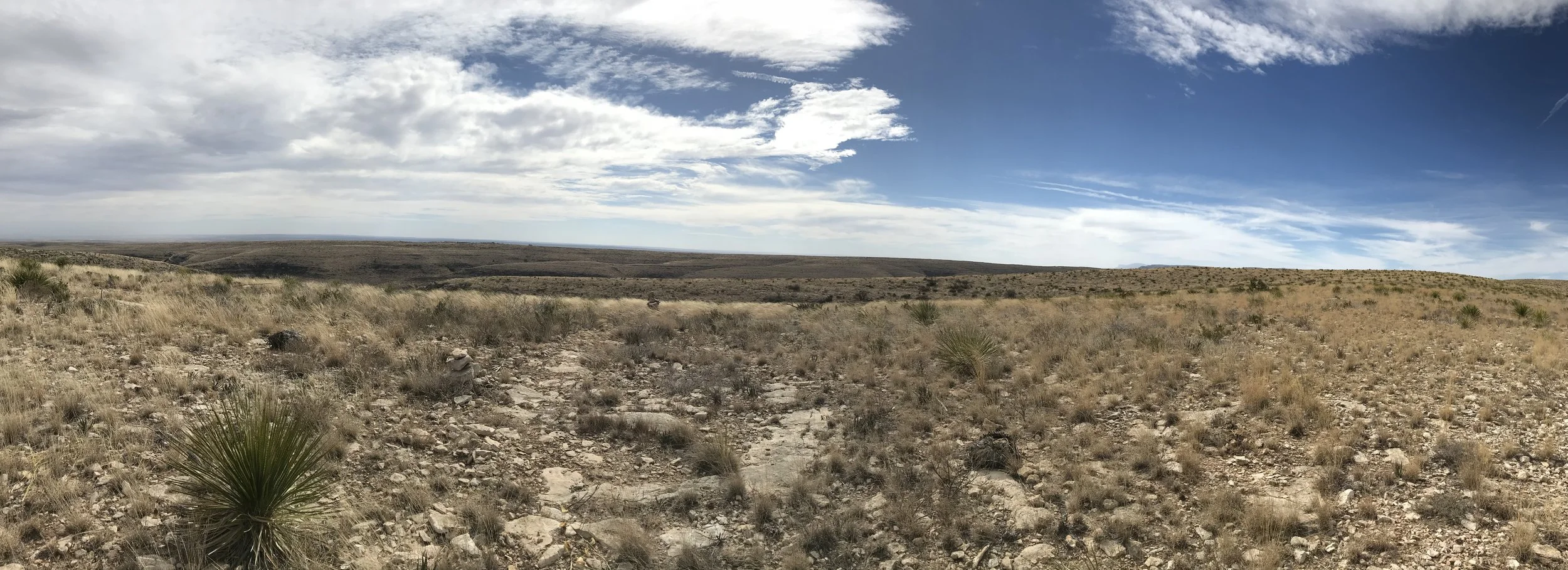3. Above ground hikes in Carlsbad Caverns National Park! Most just come to the caves, maybe watch the bats, and then head on out. Carlsbad has an 11 mile one way scenic desert drive that has some great hiking trails. This picture is from the top of the Juniper Ridge Overlook trail and another great one to consider is Rattlesnake Canyon. Enjoy your cave tours but do more when you visit!