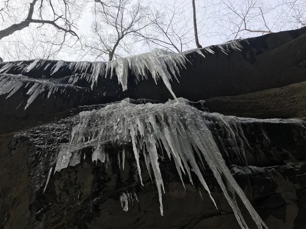 3 - Turkey Run looking up_winter.jpg.jpg