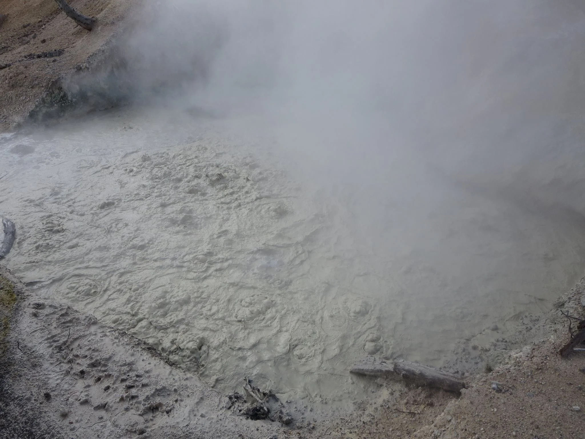 Visiting the Sulphur Works area gives you easy access to an active hydrothermal area, like this big, boiling, bubbling clay mud pot right off the side of the road!