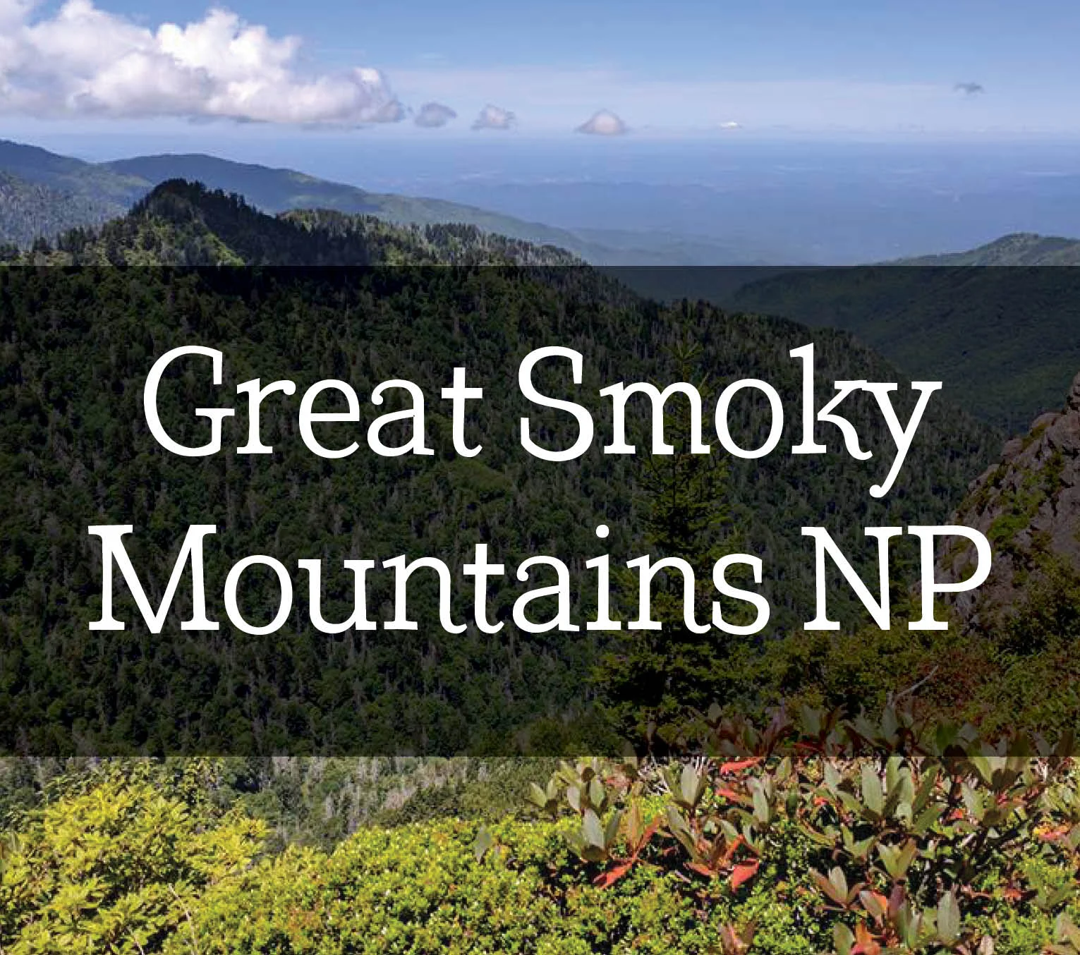 Smokies.jpg