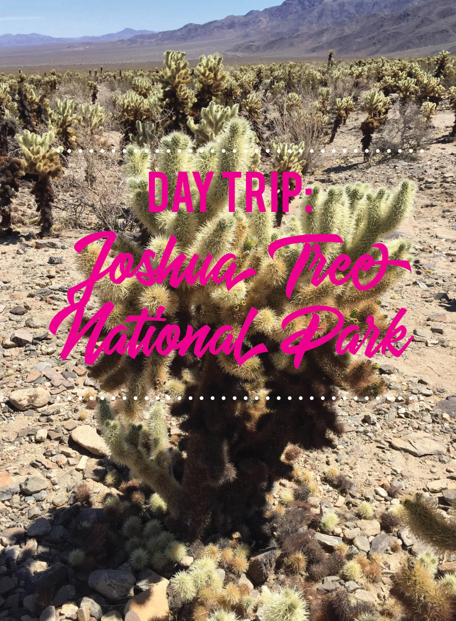Joshua Tree_Post.jpg