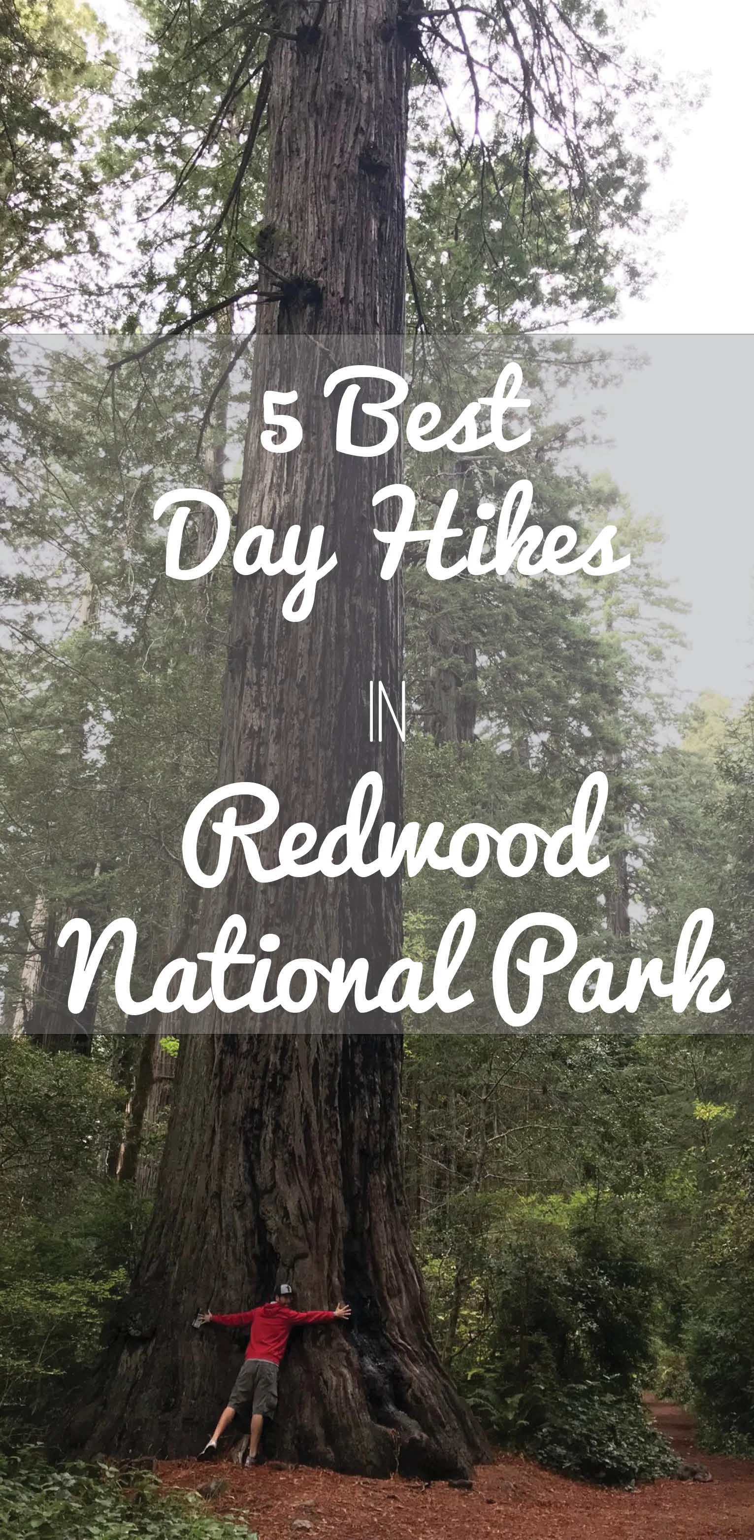 Best Day Hikes in Redwood.jpg