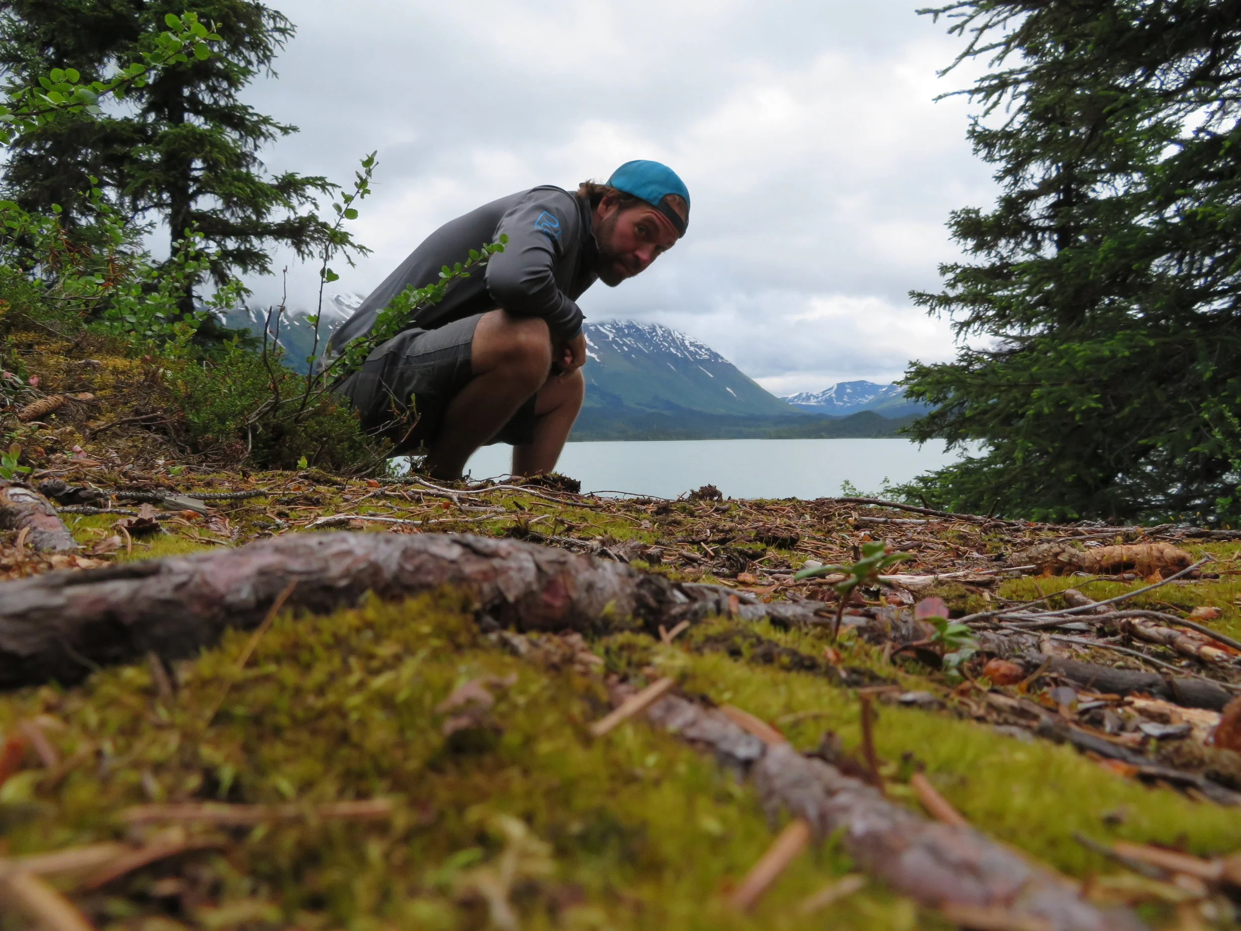 Here's looking at you Alaska!