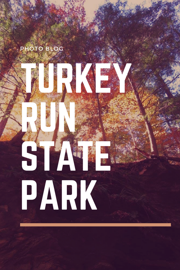 Turkey Run State Park.png