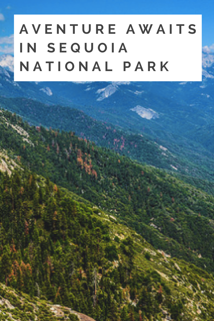 Sequoia NP.png