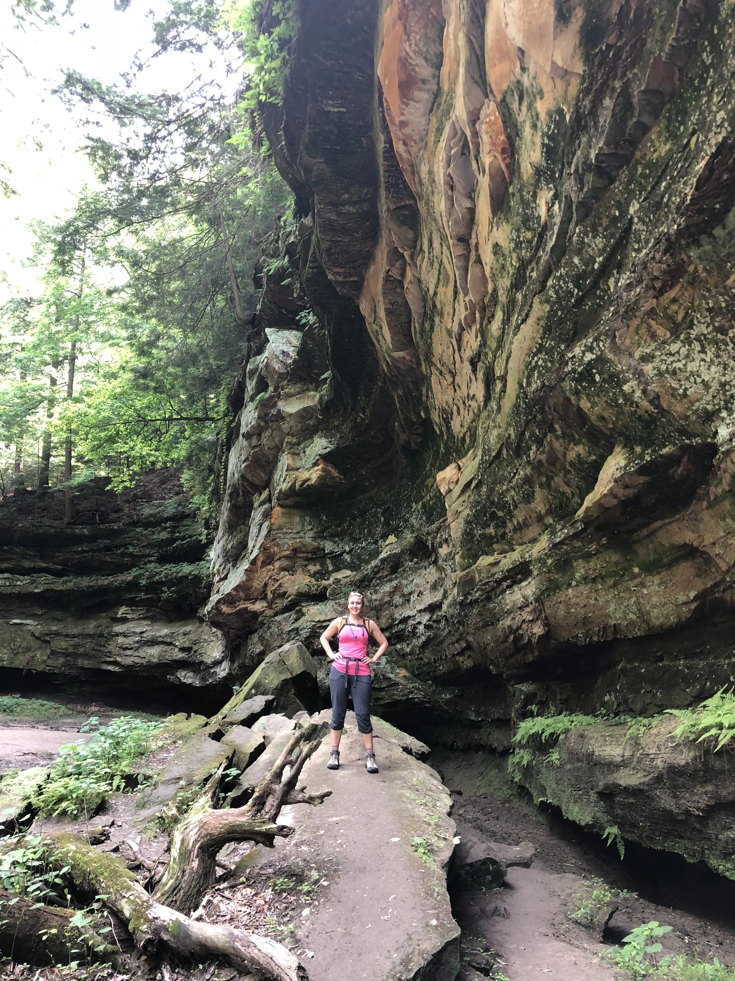 Trail 6 at Turkey Run
