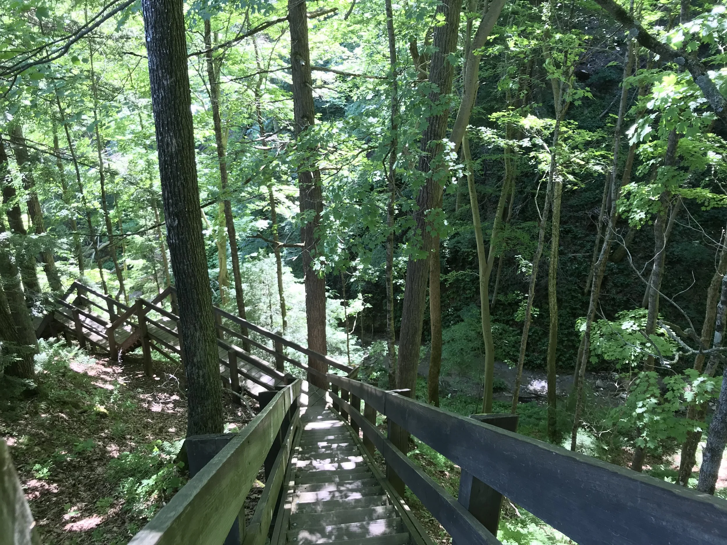 On Trail 2 at Shades, you go down the steps, then up a ravine—and yes, up some more steps. 