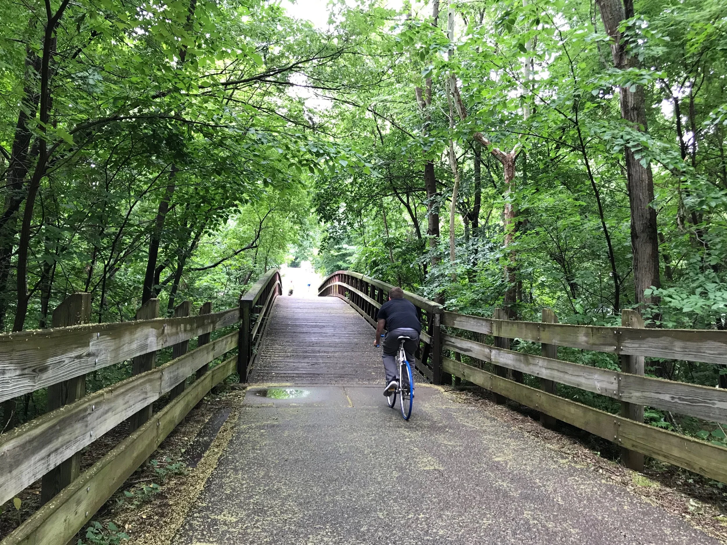 7_Wooden bridge.jpg