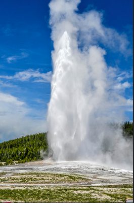 It's hard to visit Yellowstone without seeing Old Faithful and walking the boardwalk of the geysers, it must be witnessed in person!
