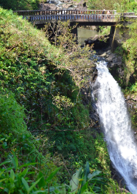 Waterfall vista stop on the Road to Hana
