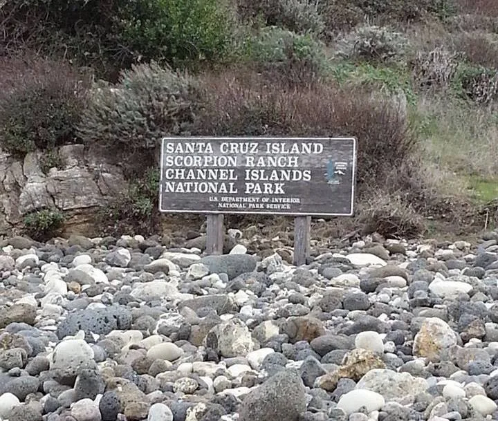 1_Sign.jpg