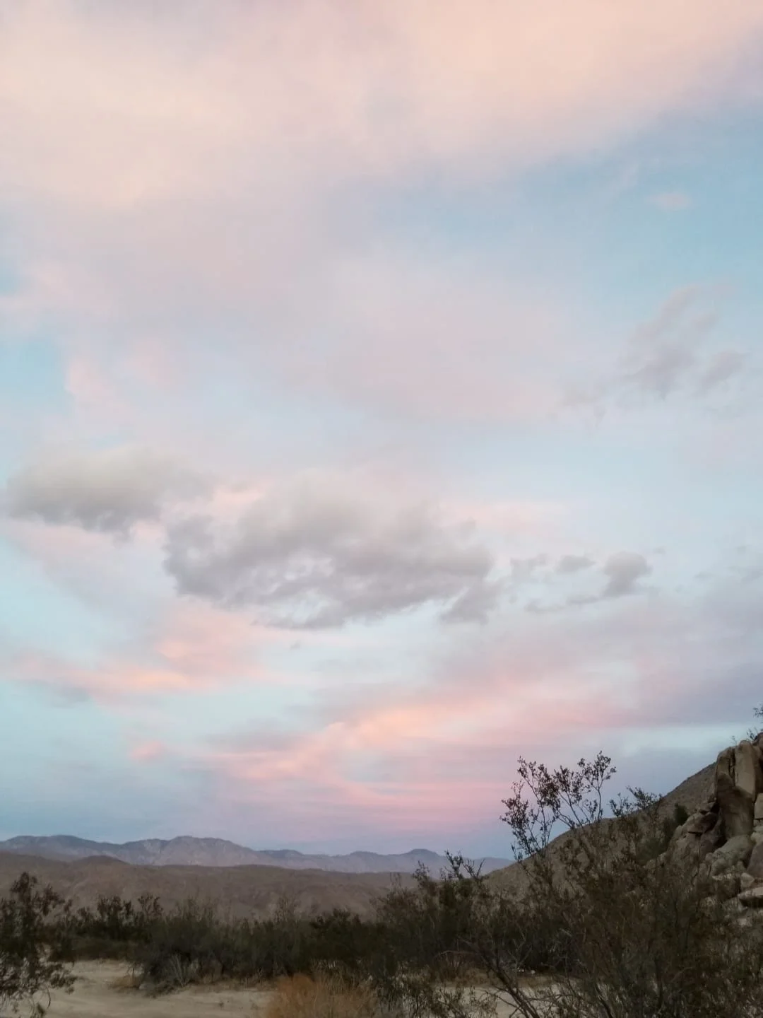Learn more about Anza Borrego HERE.