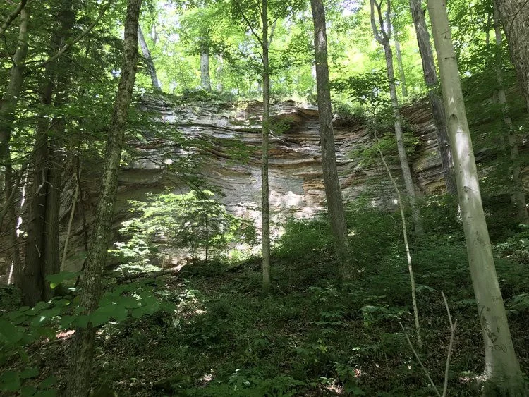 Wildcat hollow hiking clearance trail
