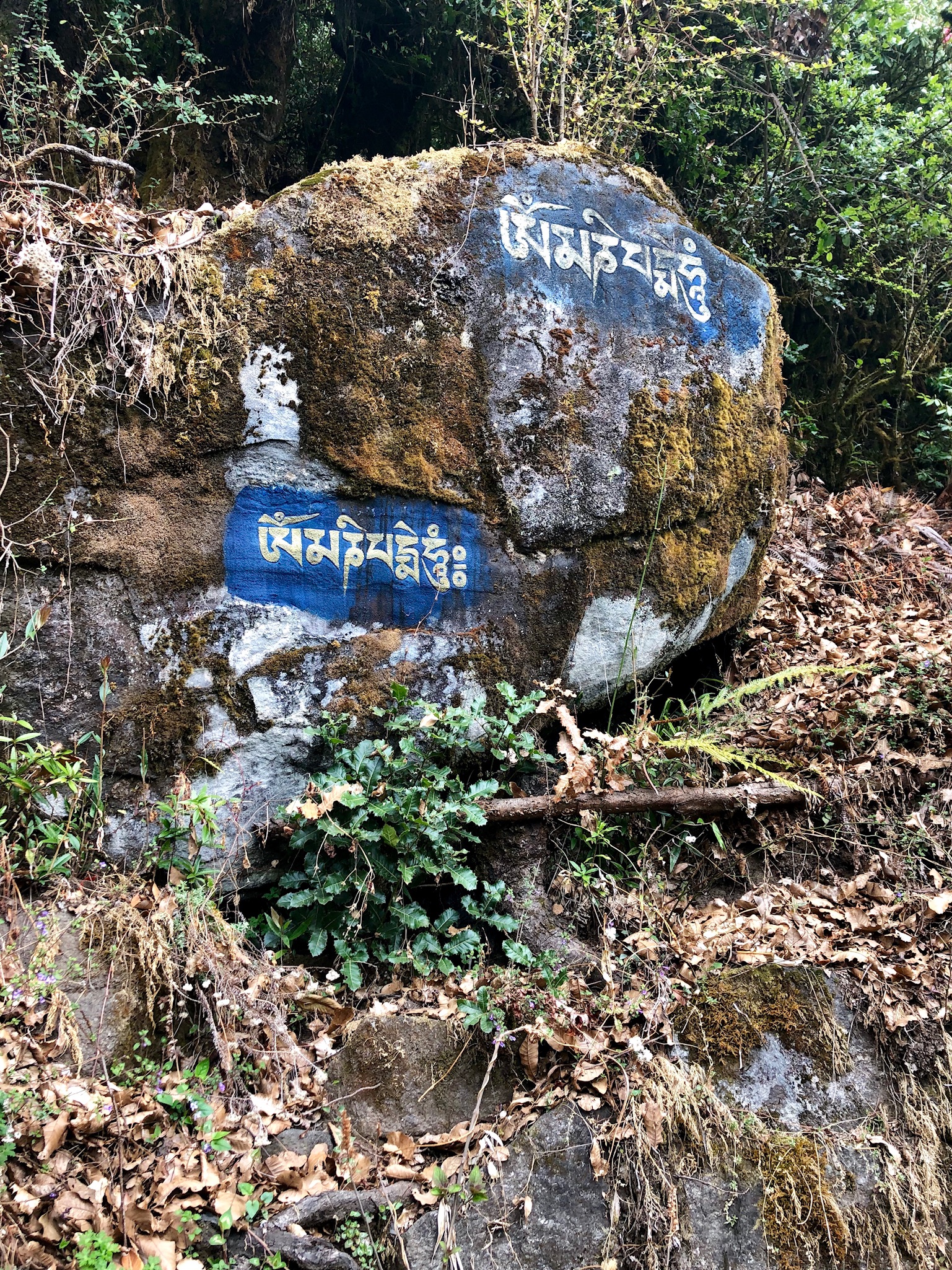 Helambu Trail Prayer Rocks.jpg