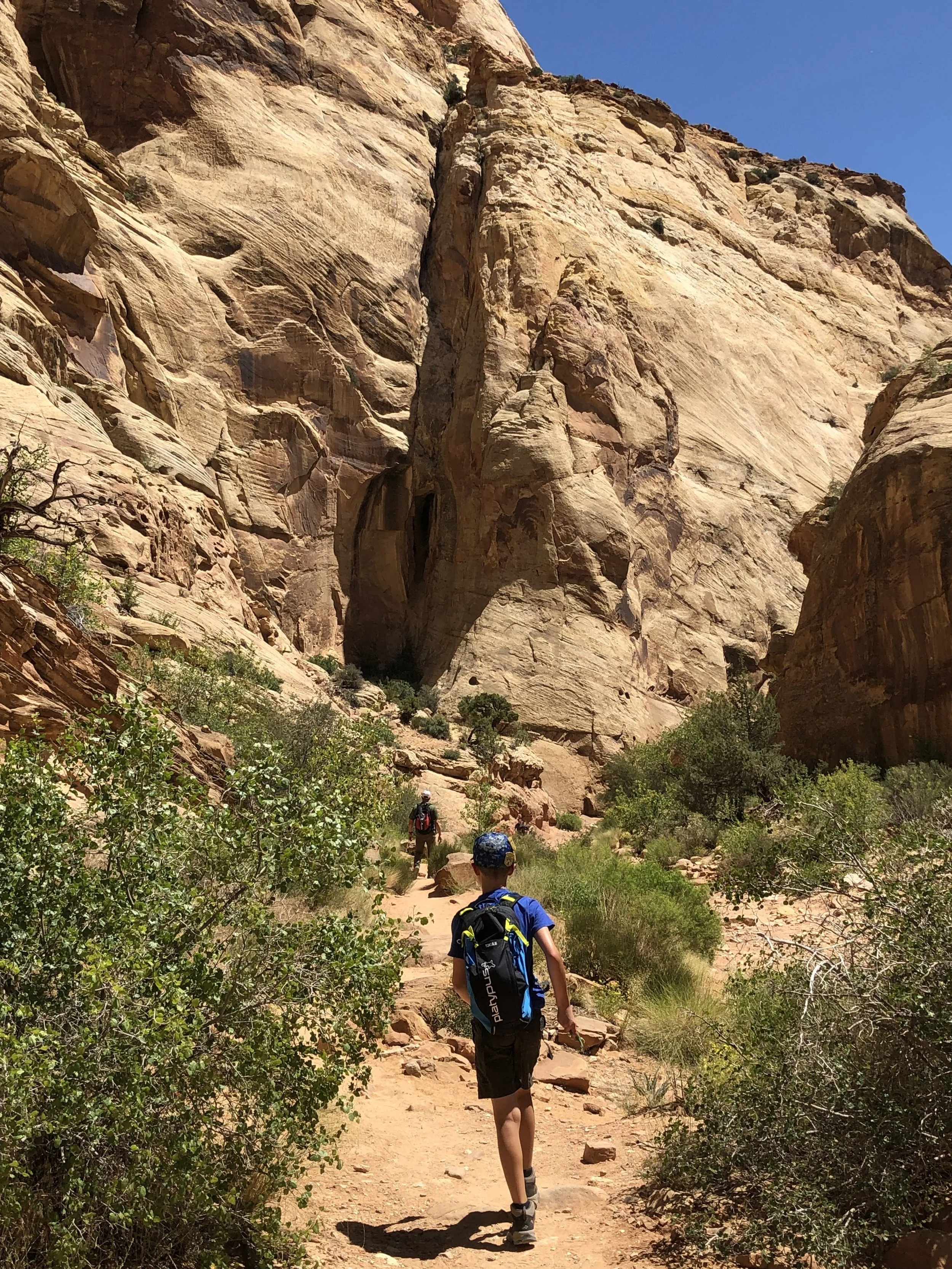 Hiking in Capitol Gorge.