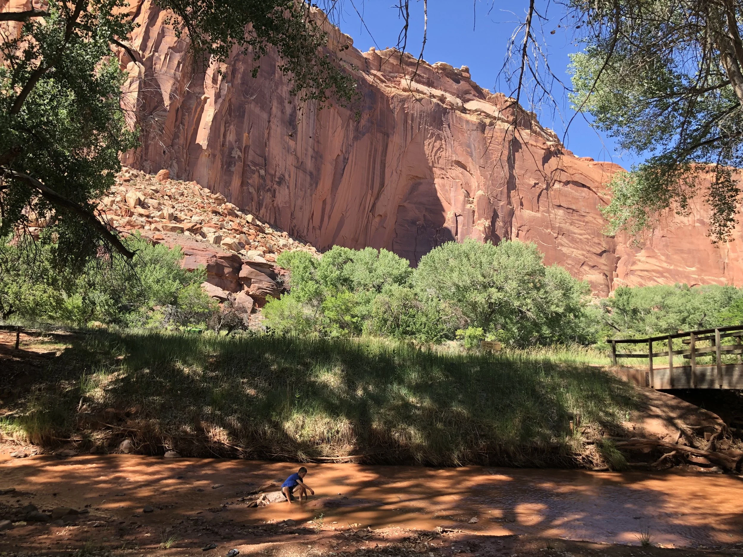 The oasis and playing in Sulphur Creek.