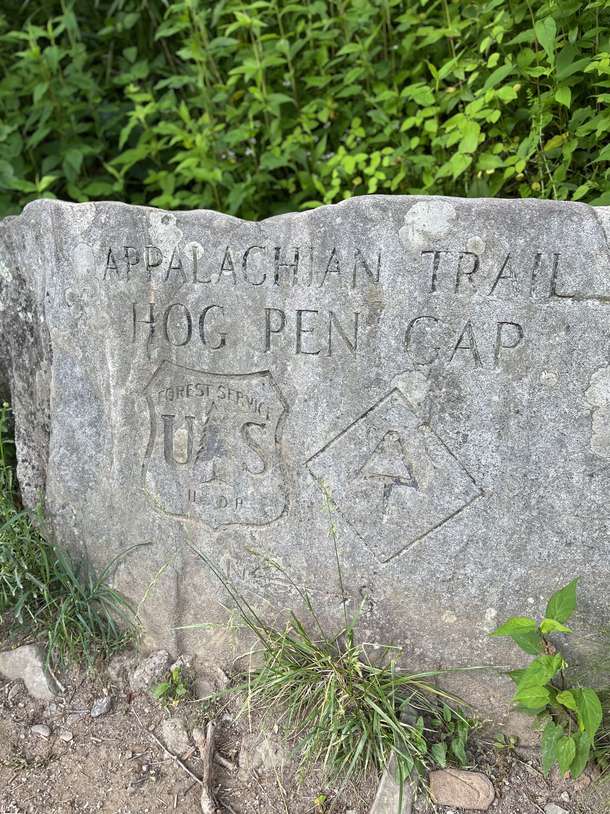 Hogpen Gap Appalachian Trail.jpg