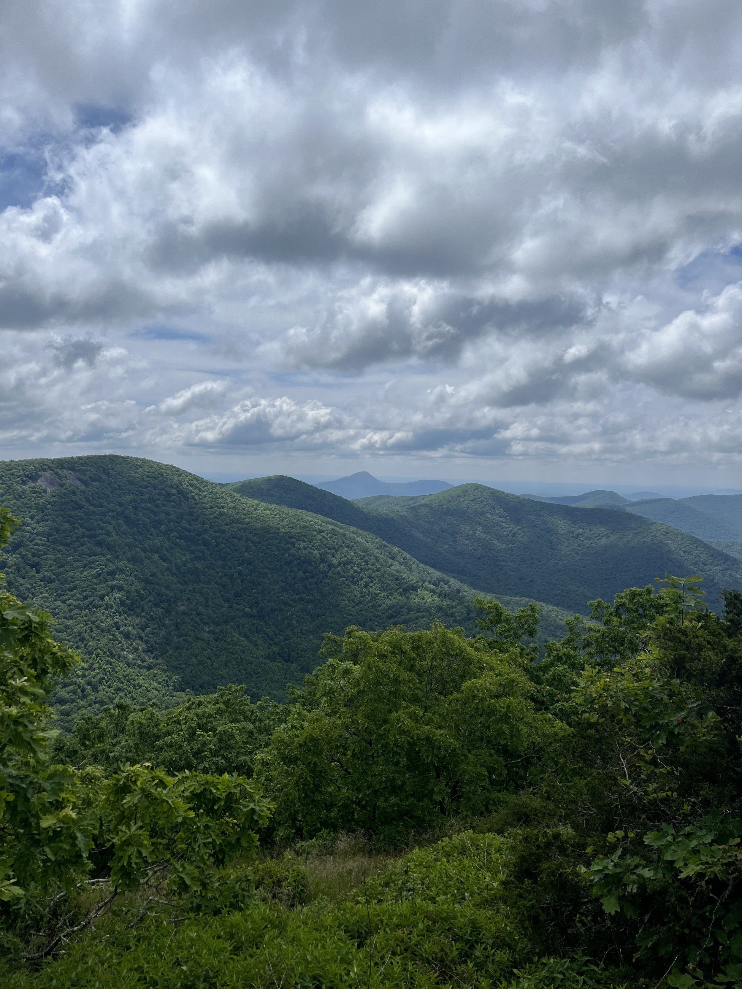 Northern Georgia Mountains Appalachian Trail.jpg
