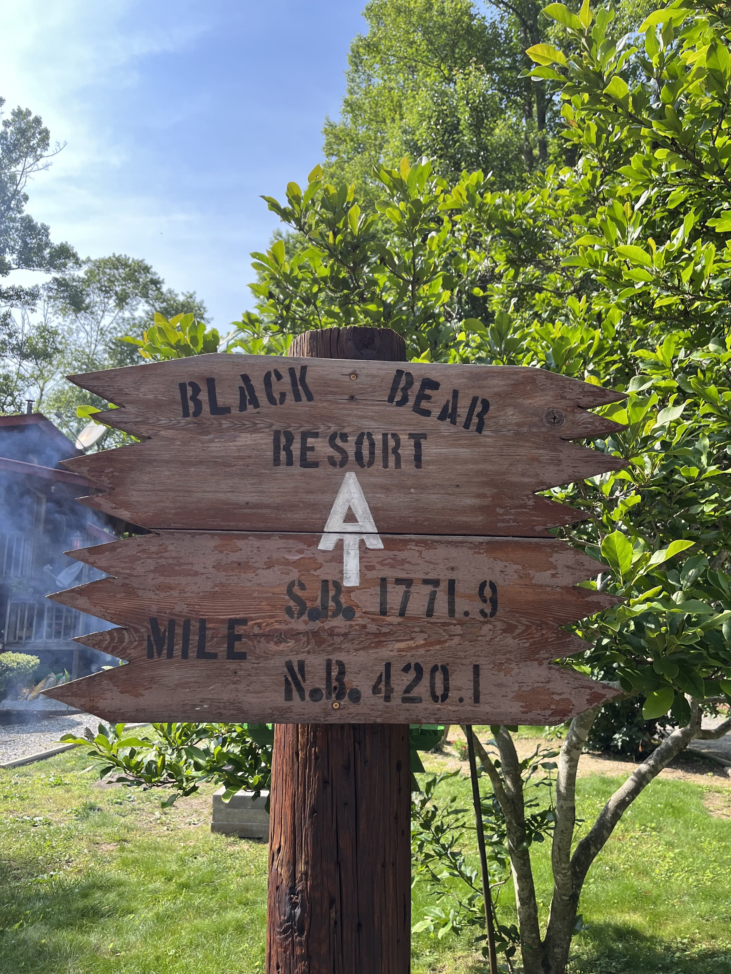 Black Bear Resort Sign.jpg
