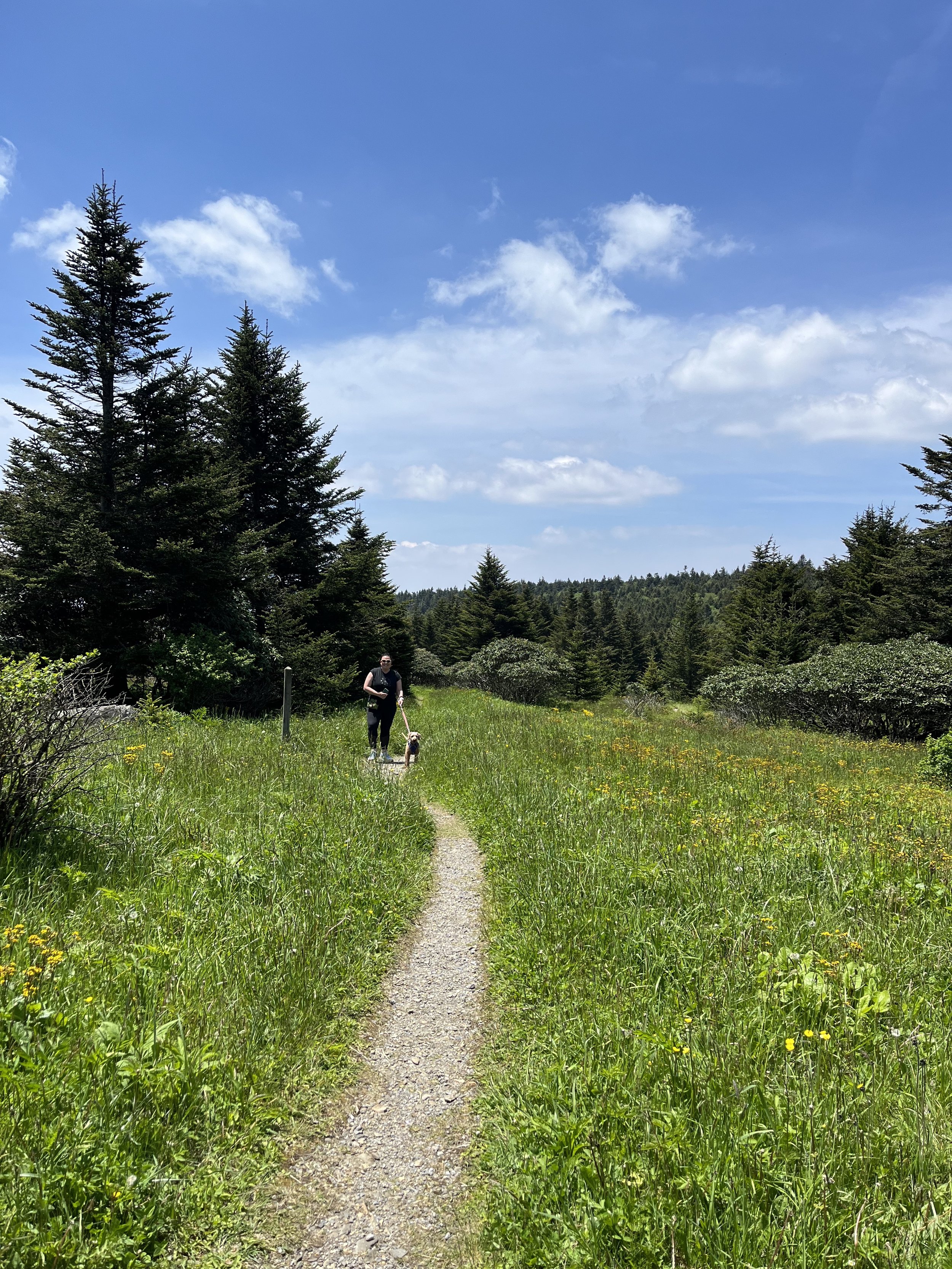 Roan Mountain Jill and Cotopaxi.jpg