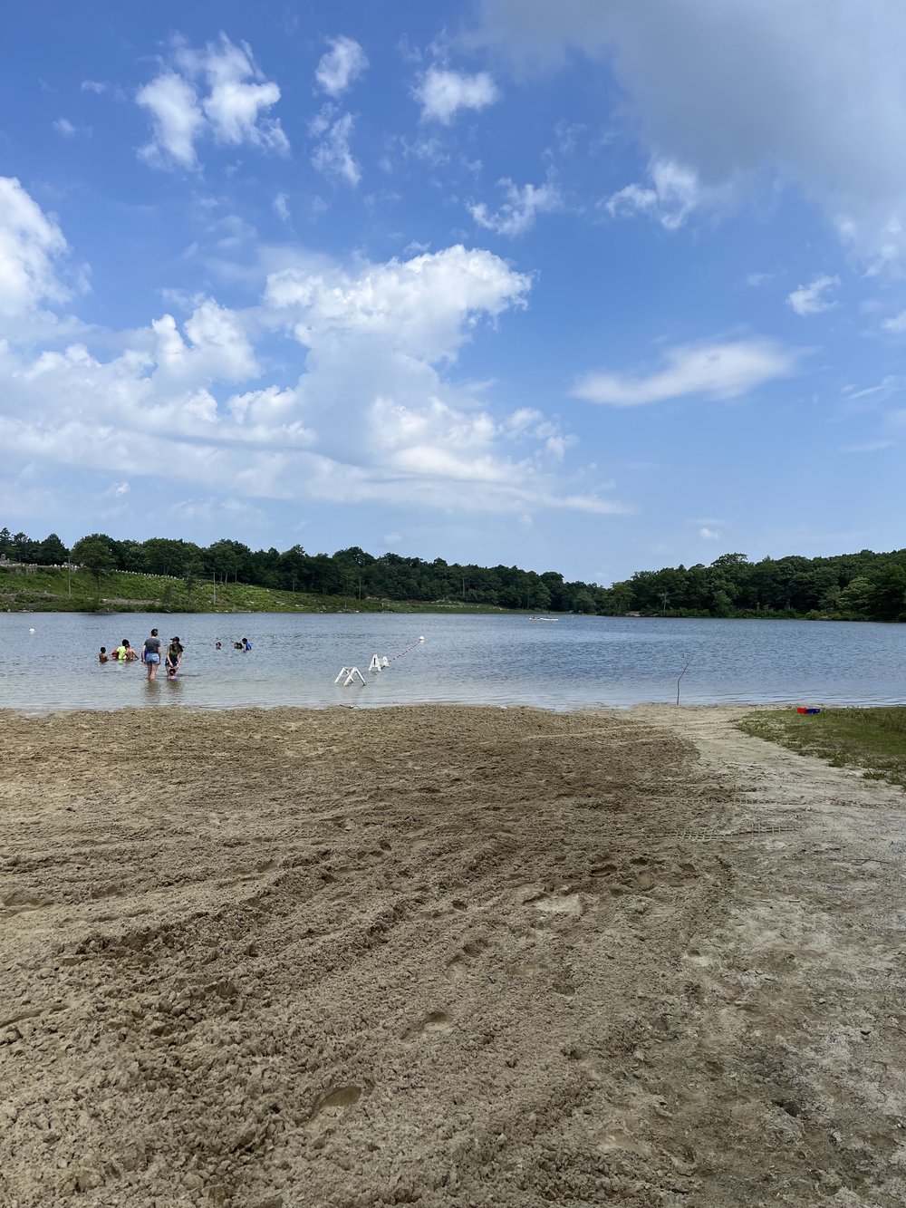 Swim Break New Jersey.jpg