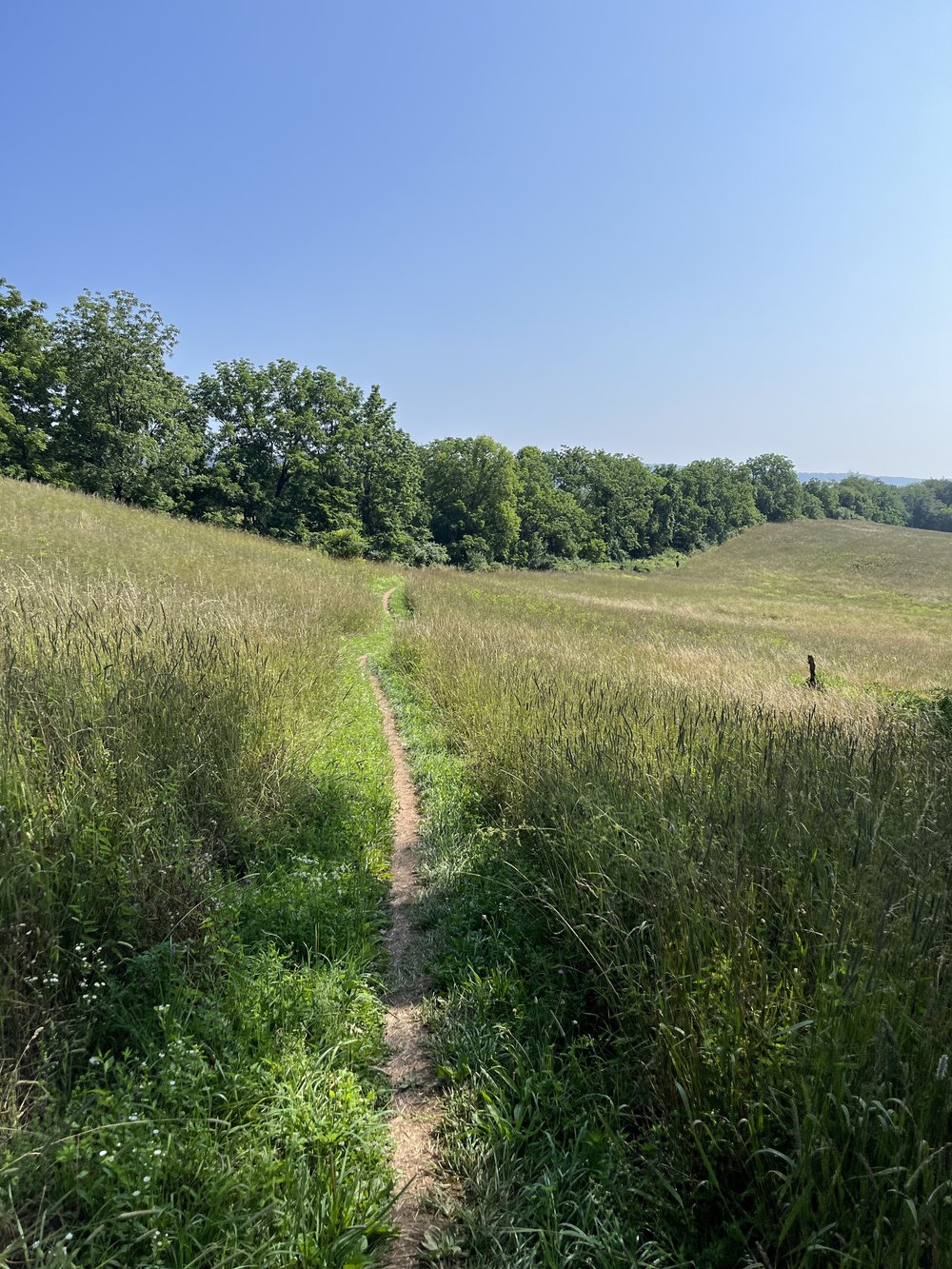 Appalachian Trail Pennsylvania.jpg