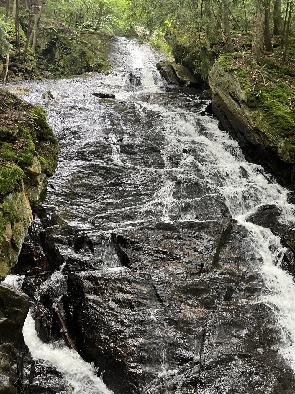 Gifford Woods State Park Vermont.jpg