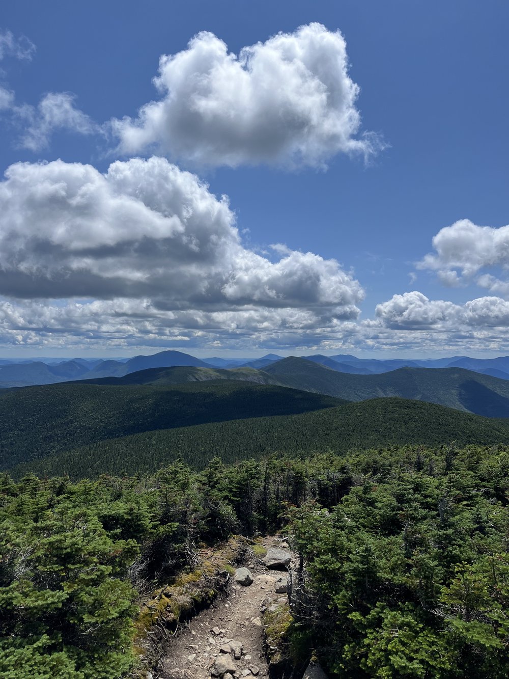 Appalachian Trail New Hampshire.jpg