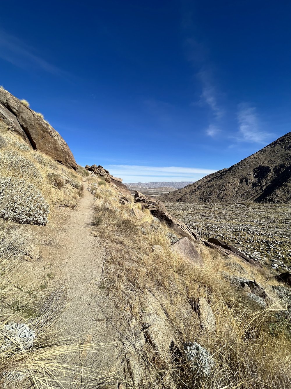 PCT near Cabazon California.jpg