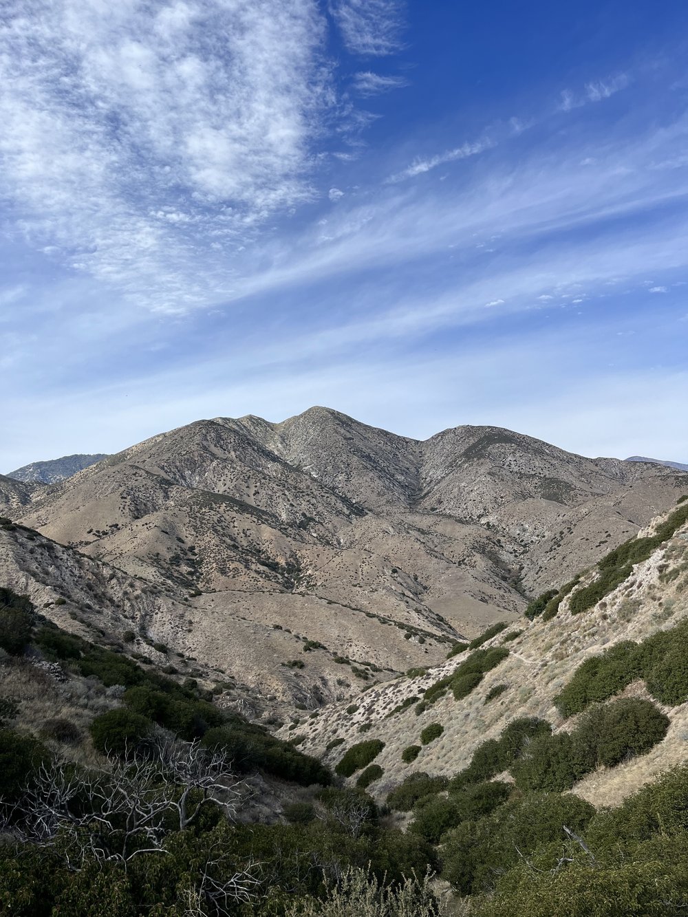 San Bernardino Mountains.jpg