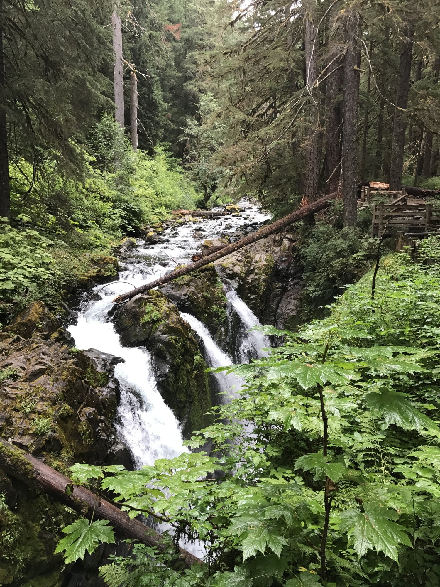 Sol Duc Falls Olympic National Park.jpeg