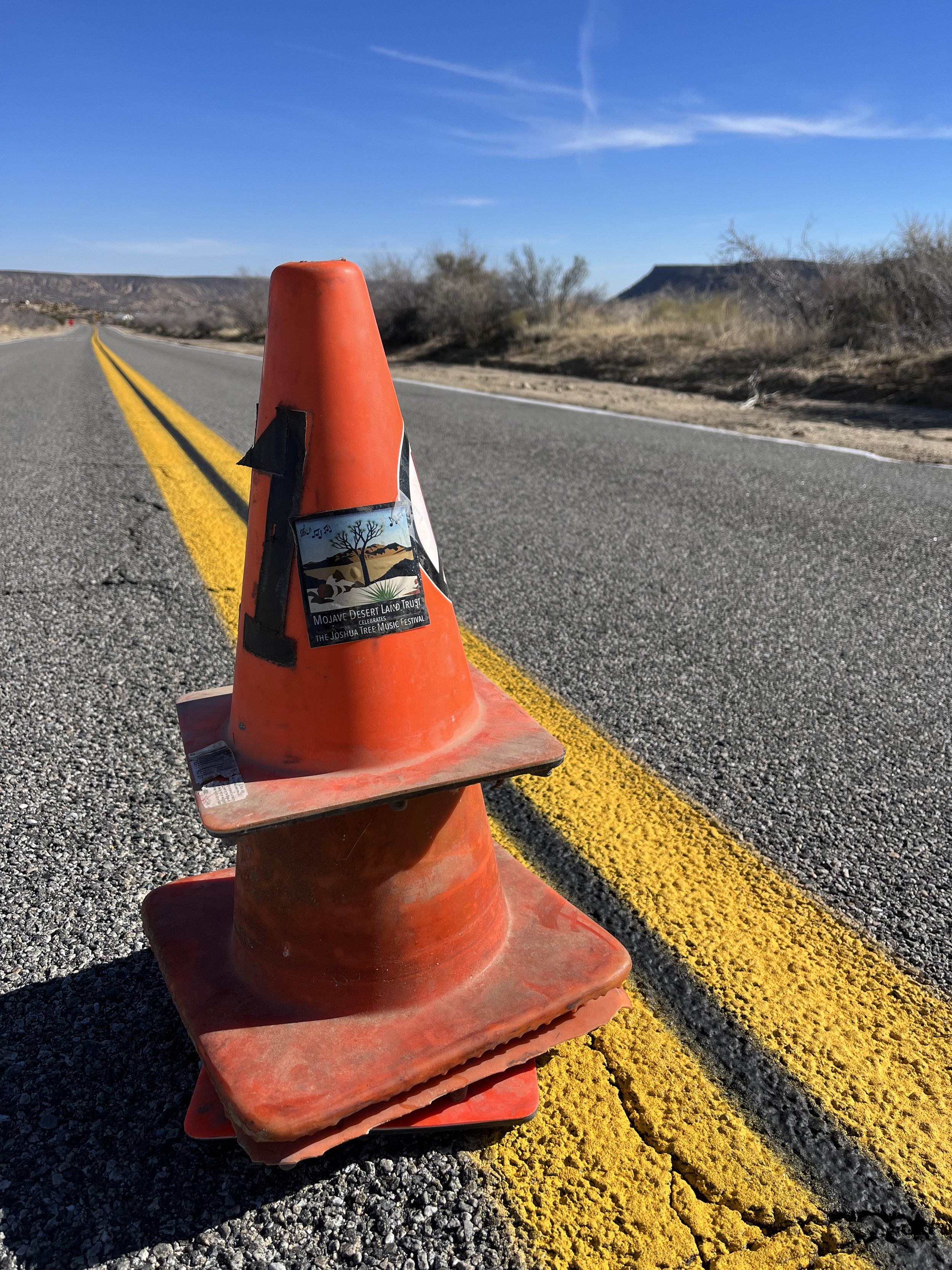 Mojave Desert Land Trust Volunteer Shift.jpg