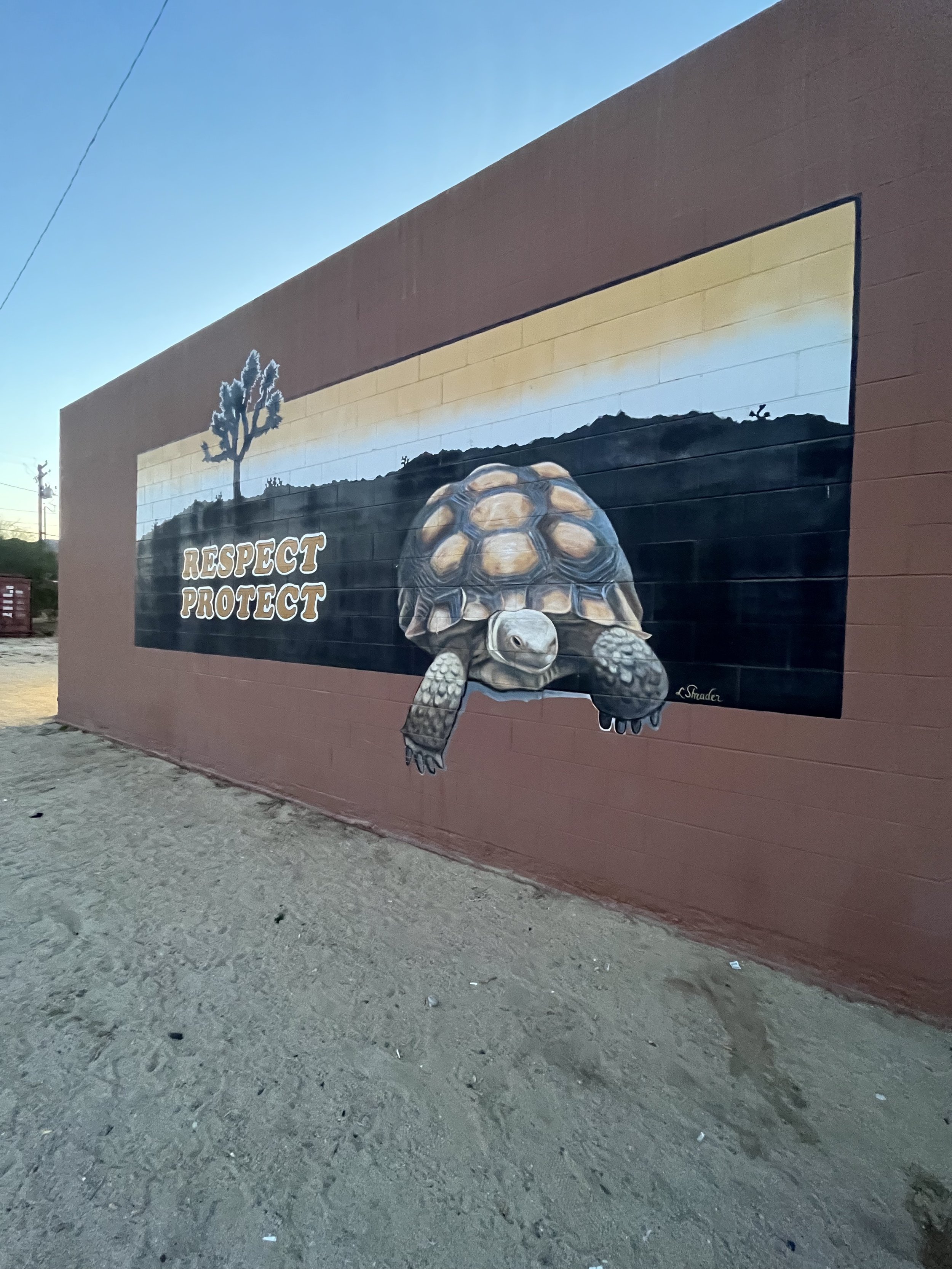 Desert Tortoise Mural JT California.jpg