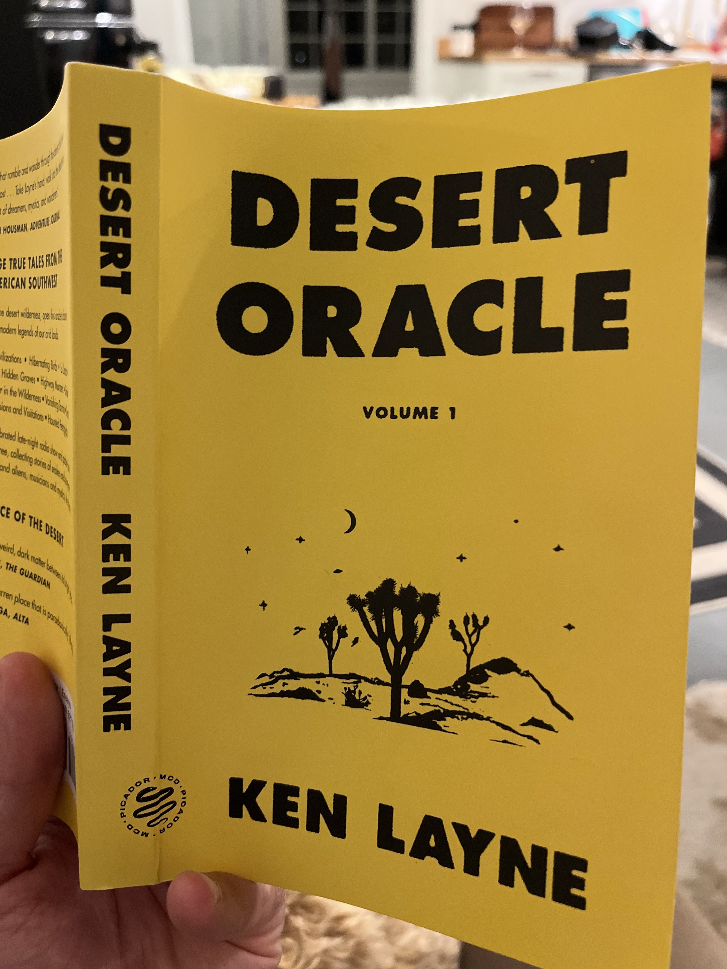 Desert Oracle Book.jpg