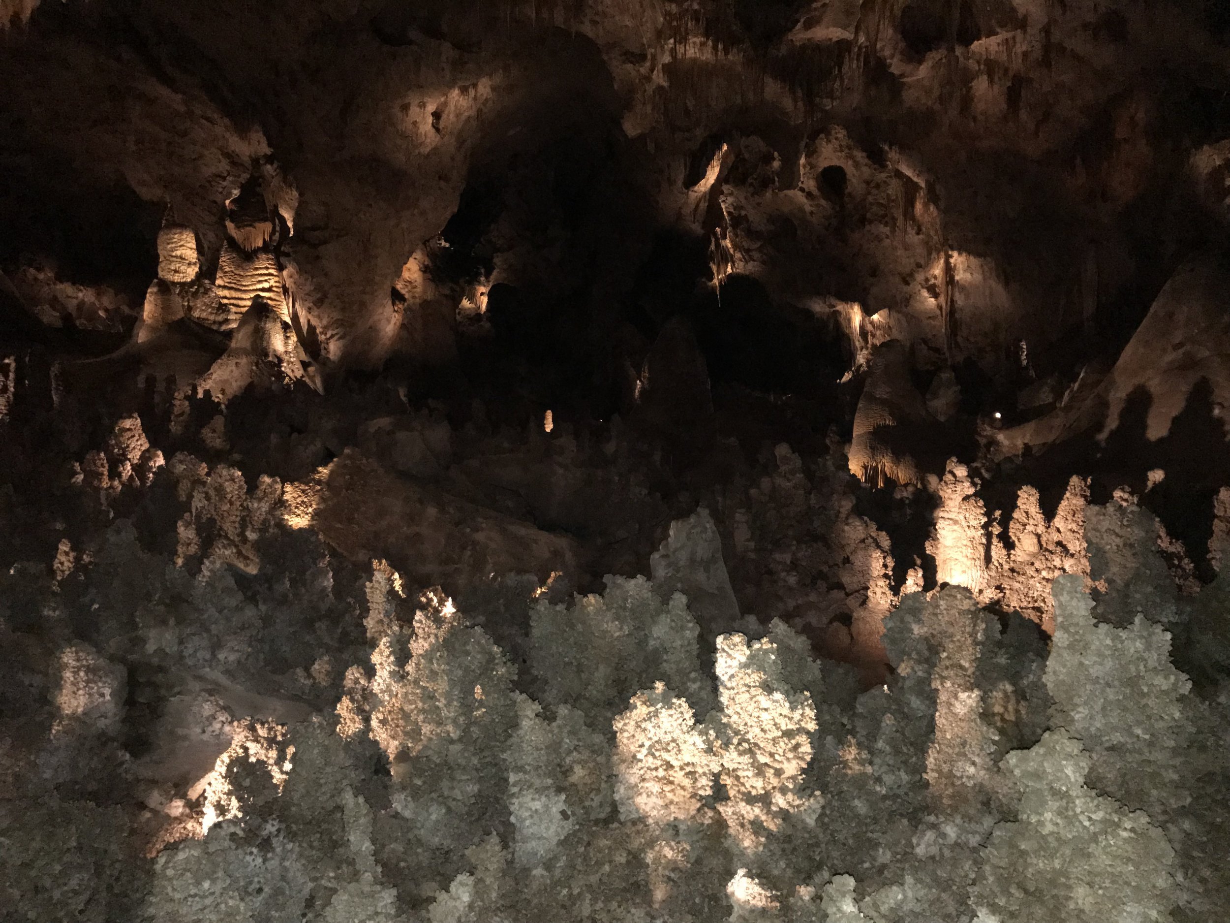 Carlsbad Caverns National Park New Mexico.jpeg