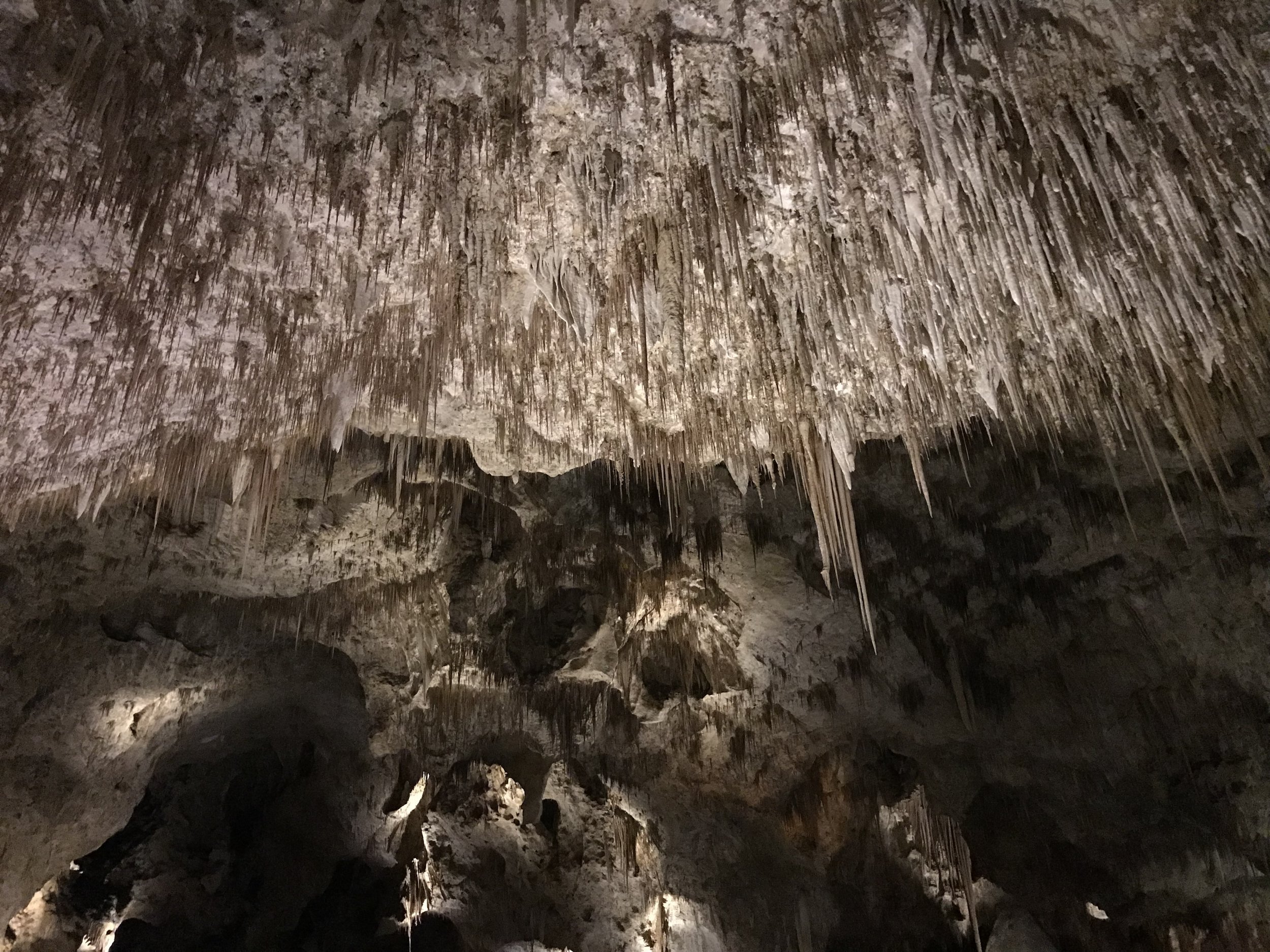 Natural Entrance Carlsbad Caverns New Mexico.jpeg