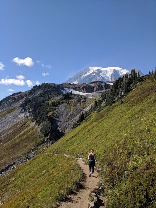 Skyline Trail Mount Rainier National Park.jpeg