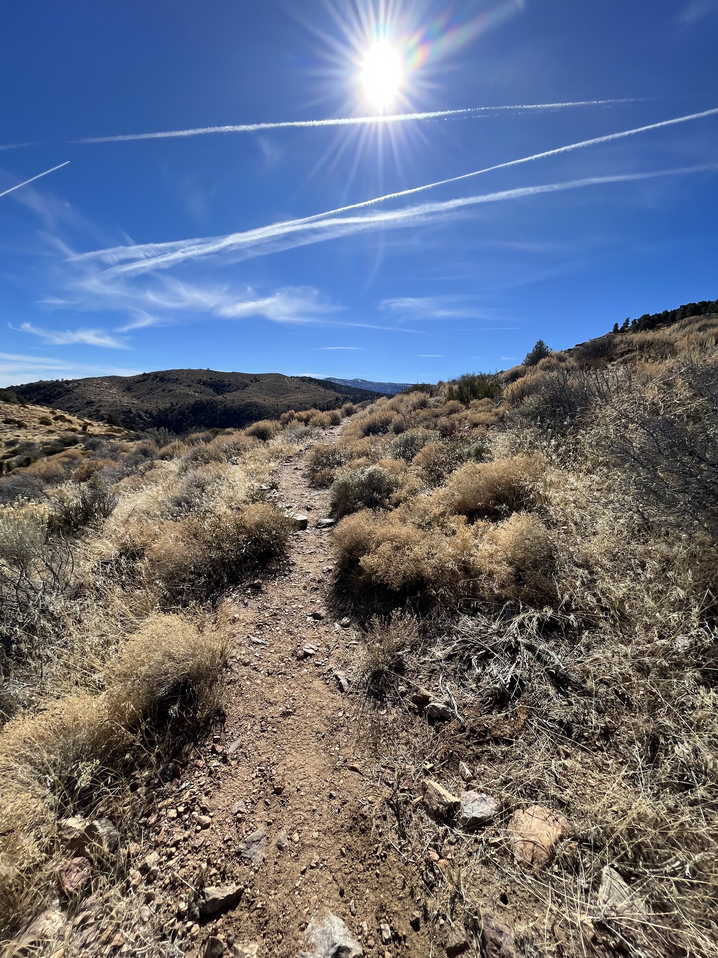 PCT Sunny Hiking near Onyx Summit California.jpg